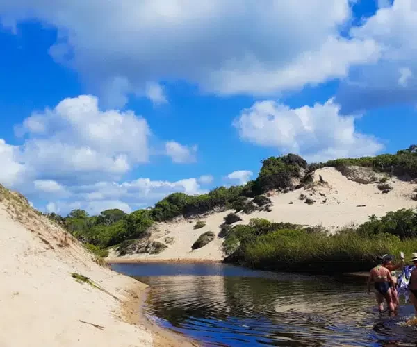 dunas-do-juruvauva-ilha-comprida.jpg